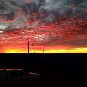 WWF Beautiful Sunset